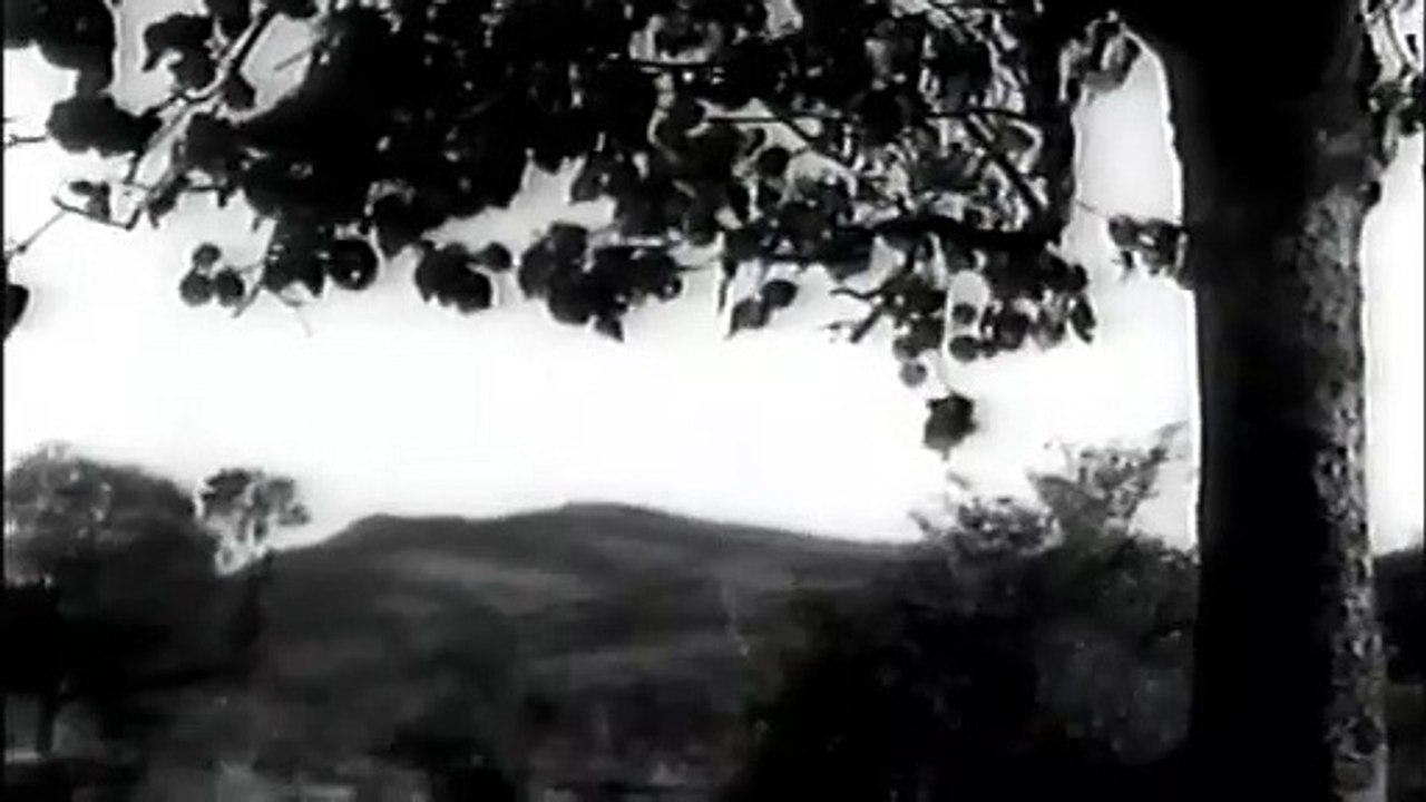 Jiya Ho Jiya Ho – Film: JAB PYAAR KISISE HOTA HAI — Lata Mangeshkar | From: Lata Forever: Black & White Hits – VOL: 2 | Hindi/Movie/Magic/Collection/Indian/लता मंगेशकर