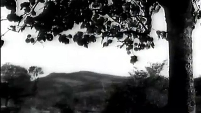 Jiya Ho Jiya Ho – Film: JAB PYAAR KISISE HOTA HAI — Lata Mangeshkar | From: Lata Forever: Black & White Hits – VOL: 2 | Hindi/Movie/Magic/Collection/Indian/लता मंगेशकर