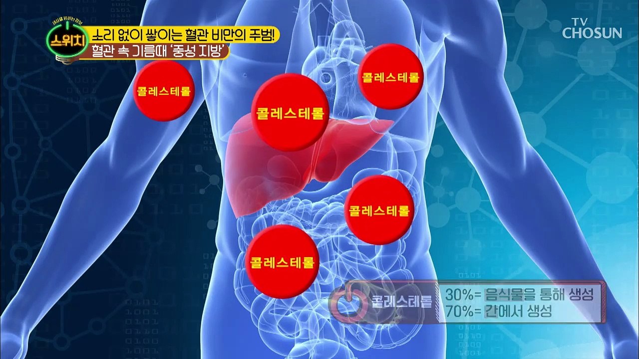 어혈→혈관 비만 부르는 주범! 중성지방