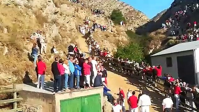 Segundo encierro del Pilón en Falces 2019 con vacas de Hípica Zahorí