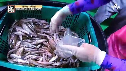 [선공개] 민물고기 하면 비린내!ㄴㄴ 갑부의 어죽은 다르다! 비린내 없애는 갑부의 꿀팁!
