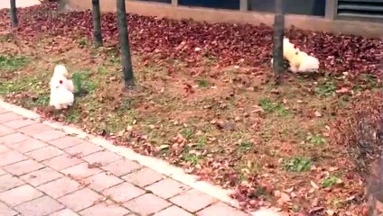 대학로출장안마 -후불1ØØ%ョØ1ØM7685M6221｛카톡USA51｝ 대학로전지역출장마사지 대학로오피걸 대학로출장안마 대학로출장마사지 대학로출장안마  대학로출장콜걸샵안마 대학로출장아로마≤㌖ざ 대학로출장샵