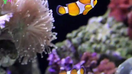 중구출장안마 -후불1ØØ%ョOiON7467N4367｛카톡KP93｝ 중구전지역출장마사지 중구오피걸 중구출장안마 중구출장마사지 중구출장안마 중구출장콜걸샵안마 중구출장아로마 중구출장∗⻙⾦