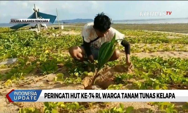Peringati HUT Ke-74 RI, Warga Tanam Tunas Kelapa di Area Obyek Wisata Pulau Pelangi