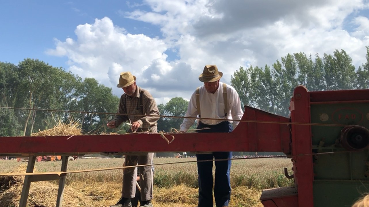 Fête du blé 2019