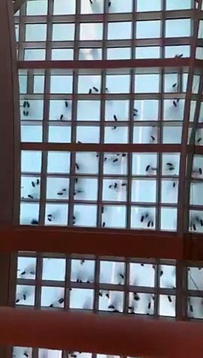 Vue de dessous de gens qui marchent sur un sol en verre !
