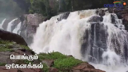 ஒகேனக்கல் தொங்கு பாலத்தை மூழ்கடித்து ஆர்பாரித்து செல்லும் காவிரி-வீடியோ