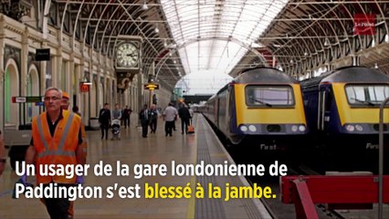 Royaume-Uni : il touche le pactole, après avoir glissé sur une fiente de pigeon