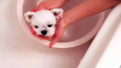 회현동출장안마 -후불1ØØ%ョØ1ØZ7467Z4367｛카톡NX34｝ 회현동전지역출장마사지 회현동오피걸 회현동출장안마 회현동출장마사지 회현동출장안마 회현동출장콜걸샵안마 회현동출장아로마회현동출장샵∢こぽ