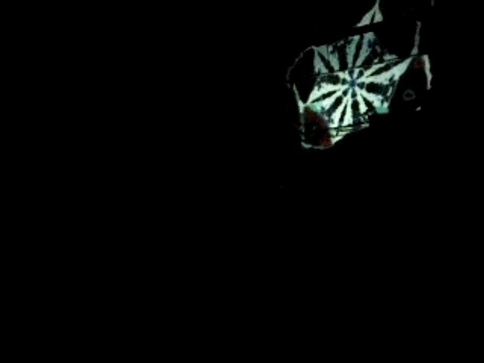 teuf monkey family - grenoble - 26.01.08