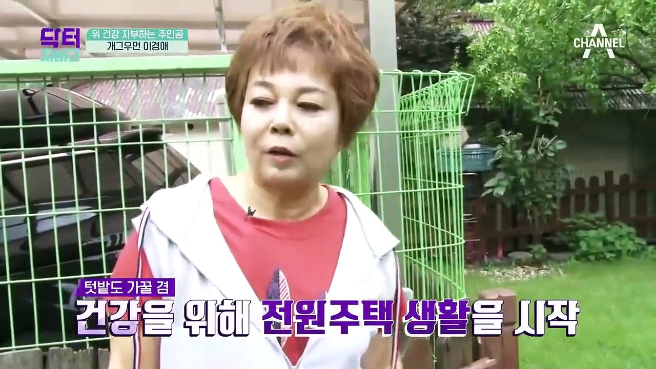 위 건강 되찾은 이경애의 비법, 위장의 나쁜 균 억제하는 OO 차는?!