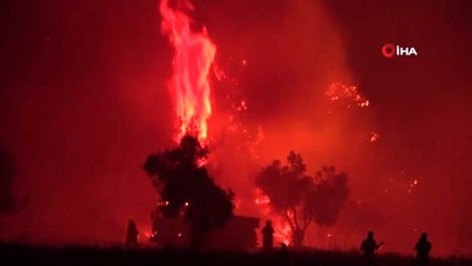 Çanakkale'deki yangının bilançosu ortaya çıkmaya başladı