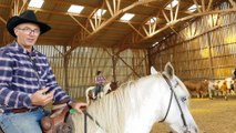 Médiation animale :  Benoît Denis chuchote à l’oreille des chevaux