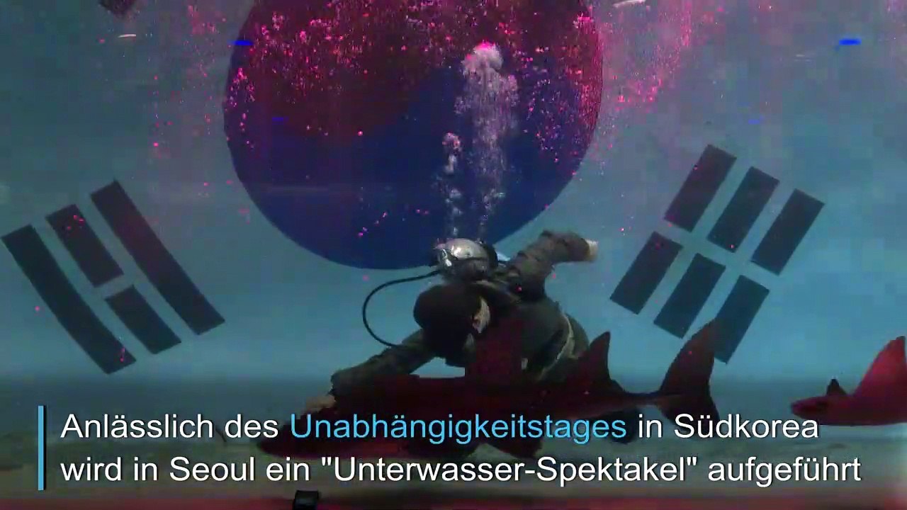 Unterwassershow in Seoul