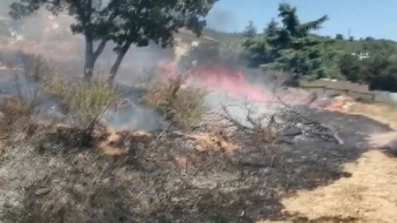 Kartal'da ormanlık alanda yangın!