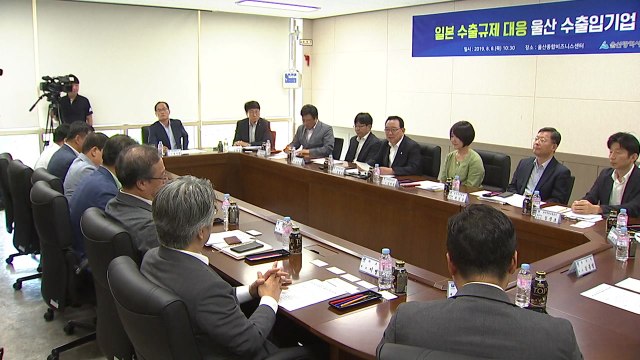 [울산] 울산, 일본 수출규제 대응 기업 간담회 / YTN