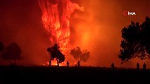 100 hektarlık alan yandı: Gelibolu orman yangınının bilançosu ortaya çıkmaya başladı