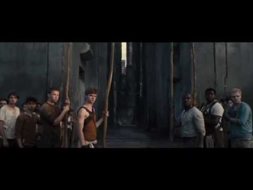 The Maze Runner: Gally