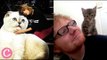 Who Posts More Cat Pictures Between Taylor Swift and Ed Sheeran?