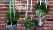 How To Make Macrame Hanging Planters