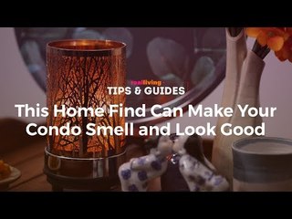 This Home Find Can May Your Condo Smell and Look Good