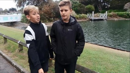 Mewsbrook Park dog rescue