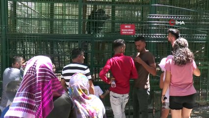 Gaziantep Hayvanat Bahçesi’nde bayram yoğunluğu