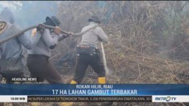 17 Hektare Lahan Gambut di Rokan Hilir Terbakar