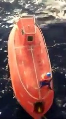 Marinheiro arrisca a vida para salvar baleia em perigo