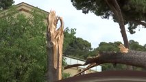 Destrozos tras la tormenta en Castelldefels
