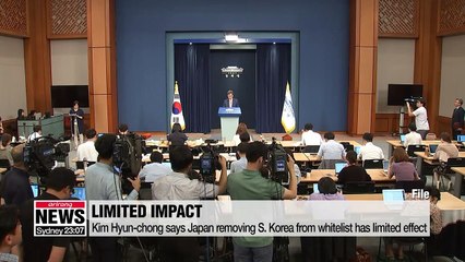 Deputy Security Advisor says Japan's whitelist move only has "handful" of impact on Korea