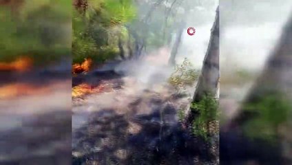 Gebze’de orman ve çalılık alan yangını