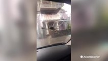 Typhoon winds were so strong that they caused a very bizarre situation featuring an octopus and car