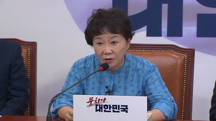 "한일 갈등이 정부 자작극?" 한국당 주장 논란 / YTN