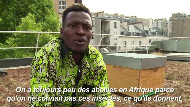 Cours d’apiculture pour aider les réfugiés à oublier leur passé