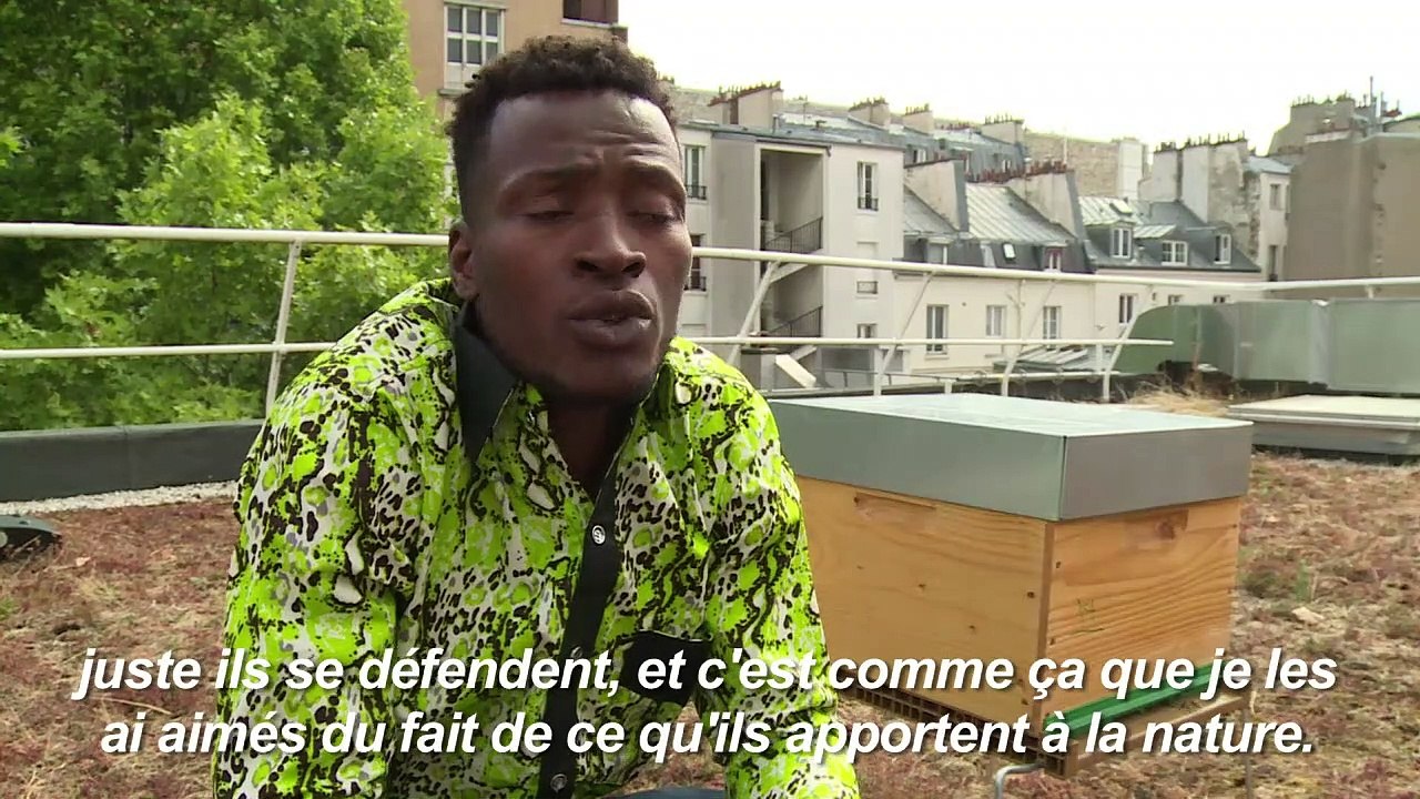 Cours d’apiculture pour aider les réfugiés à oublier leur passé