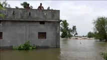 Un cocodrilo se refugia en un tejado durante las inundaciones en India