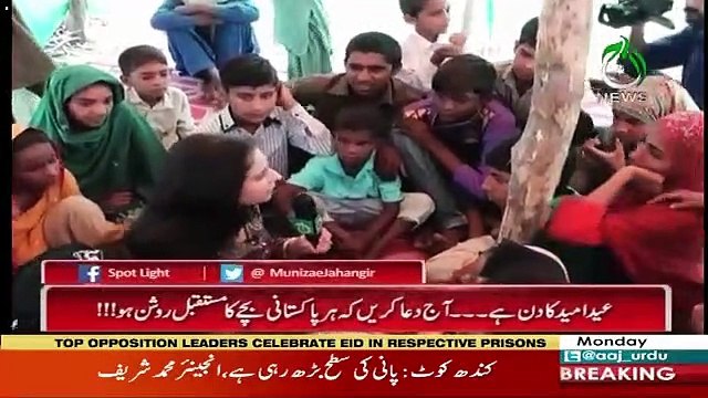 Spot Light – 12th August 2019