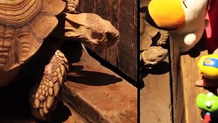 양천출장안마 -후불1ØØ%ョØ7ØE7575E0062｛카톡DK654｝ 양천전지역출장마사지 양천오피걸 양천출장안마 양천출장마사지 양천출장안마  양천출장콜걸샵안마 양천출장아로마㌚∶◜ 양천출장샵