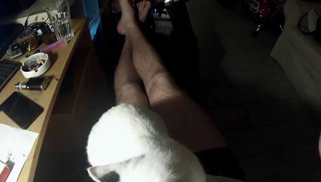 Little kitty cat wants hugs