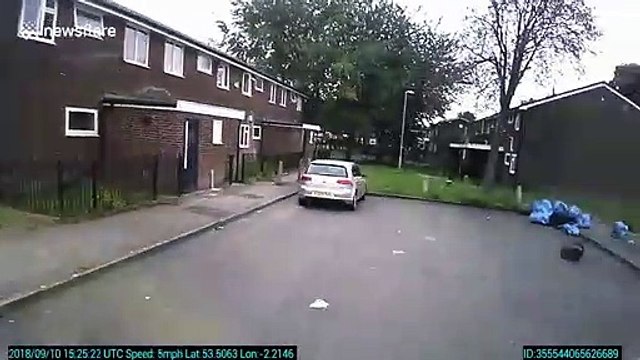 Teenagers attack delivery truck with wooden planks and rocks