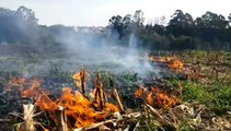 Bombeiros combatem incêndio em área no Parque Verde
