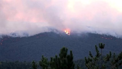 Vali Toraman'dan orman yangınıyla ilgili açıklama