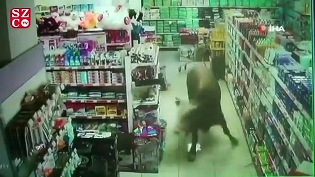 Kurbanlık dana girdiği marketi yerle bir etti