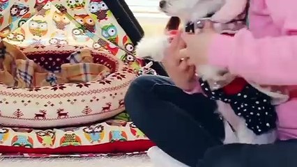 청도출장안마 -후불1ØØ%ョØ7ØM7575M0054｛카톡OYO78｝ 청도전지역출장마사지 청도오피걸 청도출장안마 청도출장마사지 청도출장안마 청도출장콜걸샵안마 청도출장아로마 청도출장さ∋≄