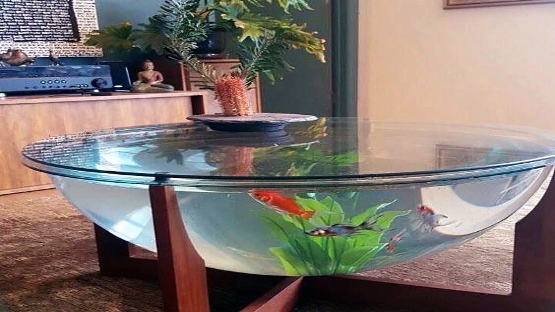 TOP5 aquarium coffee table for your home! - Dailymotion Video