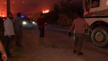 BALIKESİR Marmara Adası'nda yangın-9