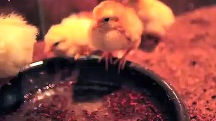 송정출장안마 -후불1ØØ%ョØ7ØE7575E0054｛카톡GD825｝ 송정전지역출장마사지 송정오피걸 송정출장안마 송정출장마사지 송정출장안마 송정출장콜걸샵안마 송정출장아로마 송정출장⻗∨≾