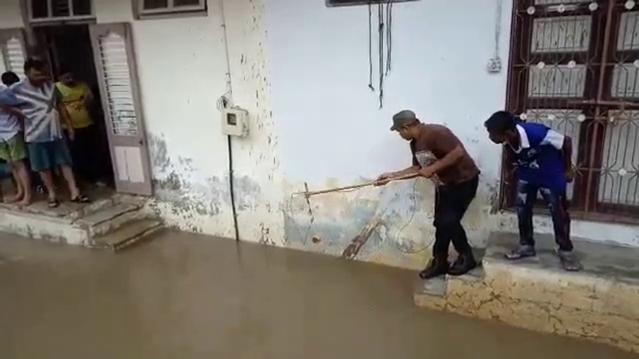 Crocodoile catch from residential area after flood