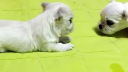 무주출장안마 -후불1ØØ%ョØ1ØZ6622Z4421｛카톡SN92｝ 무주전지역출장마사지 무주오피걸 무주출장안마 무주출장마사지 무주출장안마 무주출장콜걸샵안마 무주출장아로마 무주출장∑㍋⺵